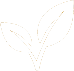 Icône blanche sur fond transparent symbolisant des résultats naturels et durables, avec un design évoquant l’équilibre et la longévité.